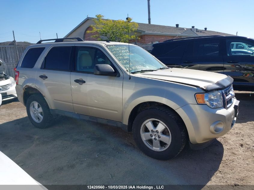 2011 Ford Escape Xlt VIN: 1FMCU9D7XBKA70332 Lot: 12420560