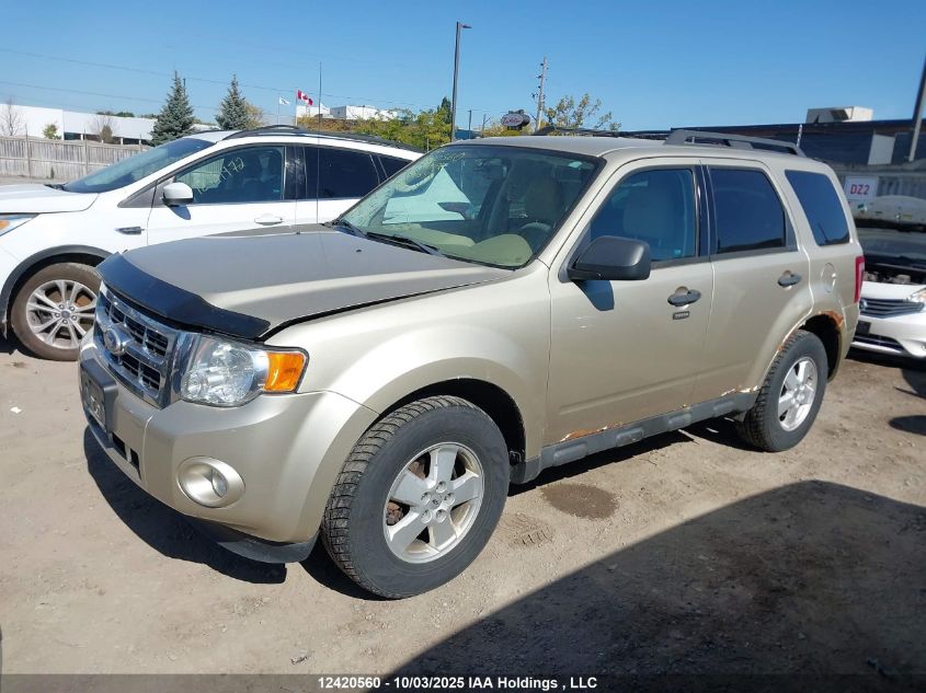 2011 Ford Escape Xlt VIN: 1FMCU9D7XBKA70332 Lot: 12420560