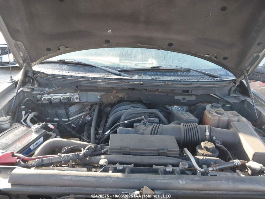 2010 Ford F150 Supercrew VIN: 1FTEW1C84AFC25354 Lot: 12420575