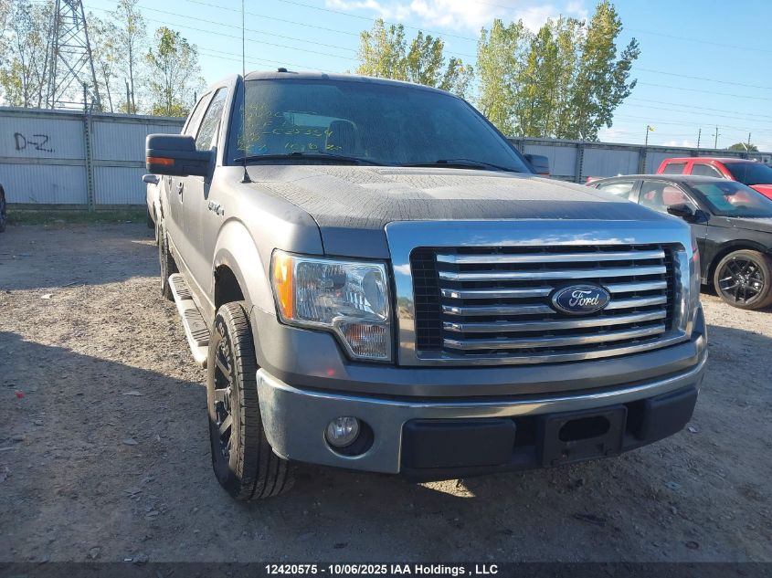 2010 Ford F150 Supercrew VIN: 1FTEW1C84AFC25354 Lot: 12420575