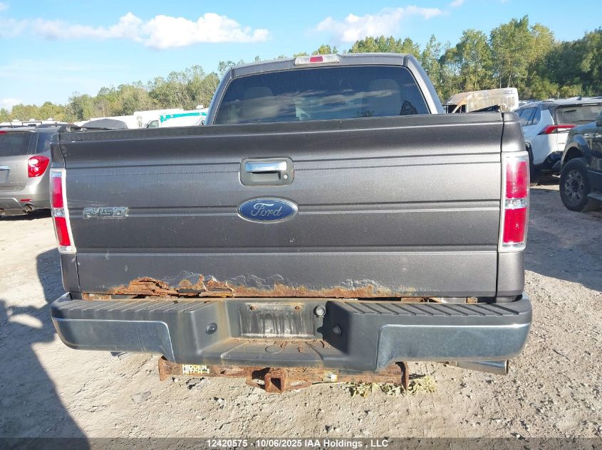 2010 Ford F150 Supercrew VIN: 1FTEW1C84AFC25354 Lot: 12420575