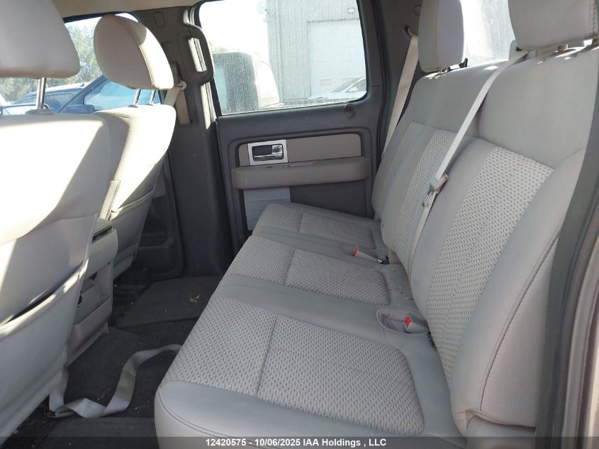 2010 Ford F150 Supercrew VIN: 1FTEW1C84AFC25354 Lot: 12420575