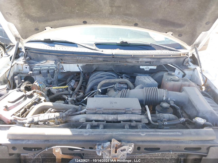 1FTEX1C85AFC79582 2010 FORD F-150 photo no. 10