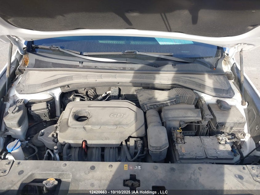 5NMS3CADXLH253754 2020 HYUNDAI SANTA FE photo no. 10