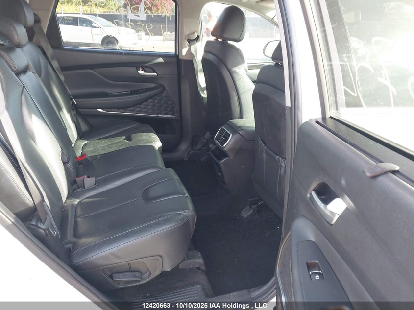 5NMS3CADXLH253754 2020 HYUNDAI SANTA FE photo no. 8