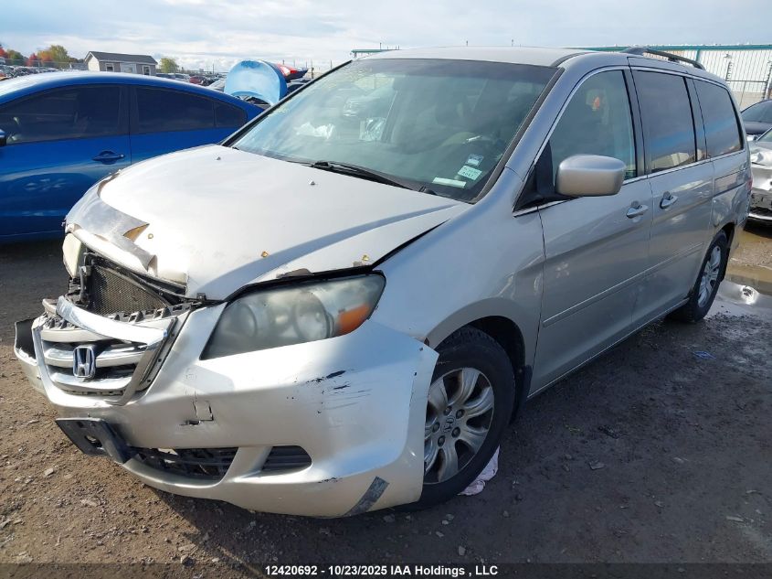 2006 Honda Odyssey Ex VIN: 5FNRL38426B513770 Lot: 12420692