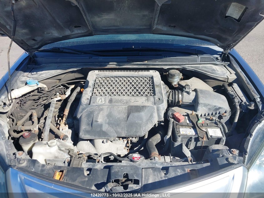 2012 Acura Rdx VIN: 5J8TB1H20CA800445 Lot: 12420773