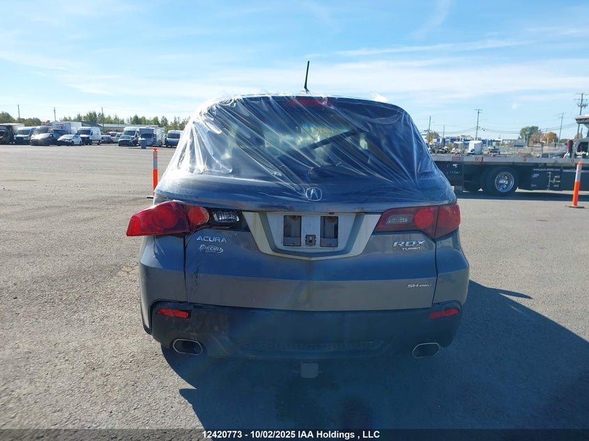 2012 Acura Rdx VIN: 5J8TB1H20CA800445 Lot: 12420773