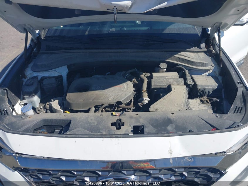 2020 Hyundai Santa Fe Sel/Sel Plus VIN: 5NMS3CAA4LH266117 Lot: 12420996