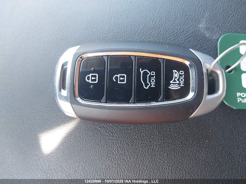 2020 Hyundai Santa Fe Sel/Sel Plus VIN: 5NMS3CAA4LH266117 Lot: 12420996