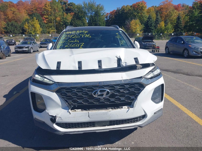 2020 Hyundai Santa Fe Sel/Sel Plus VIN: 5NMS3CAA4LH266117 Lot: 12420996