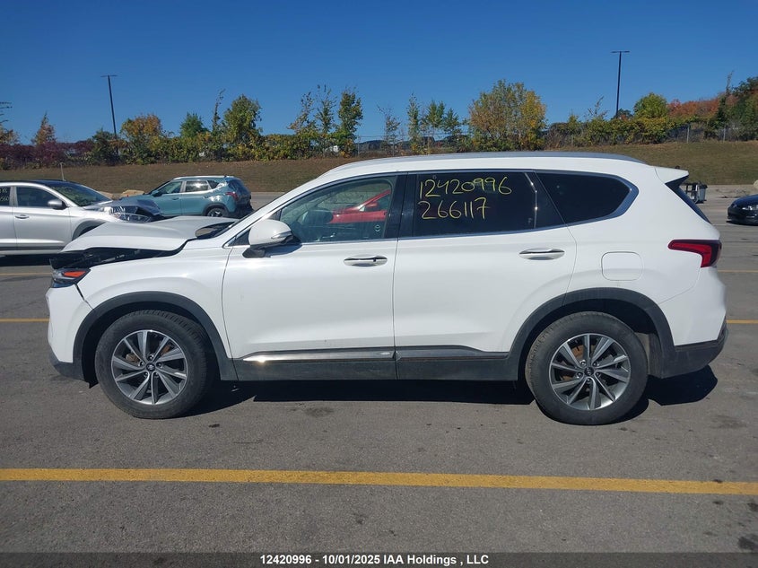 2020 Hyundai Santa Fe Sel/Sel Plus VIN: 5NMS3CAA4LH266117 Lot: 12420996