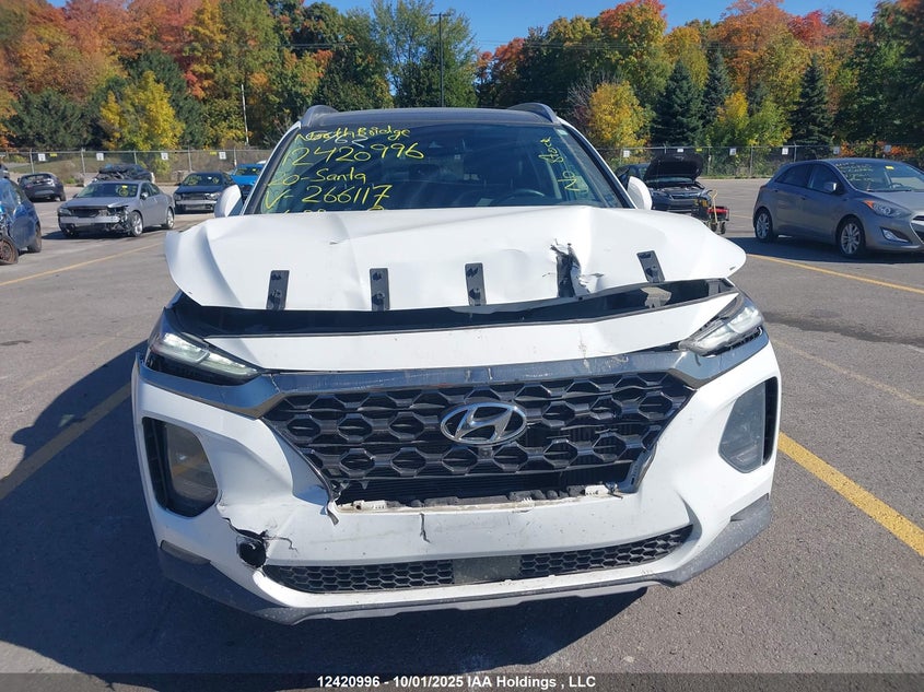 2020 Hyundai Santa Fe Sel/Sel Plus VIN: 5NMS3CAA4LH266117 Lot: 12420996