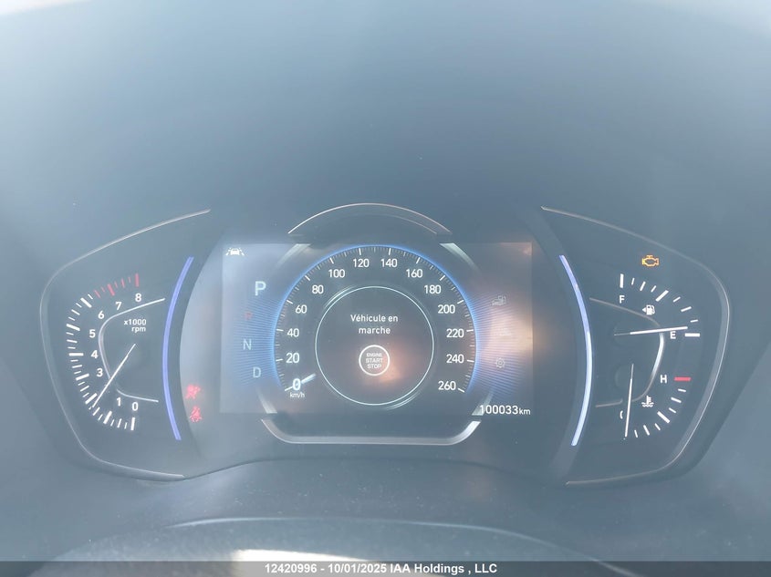 2020 Hyundai Santa Fe Sel/Sel Plus VIN: 5NMS3CAA4LH266117 Lot: 12420996