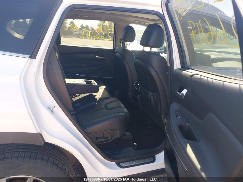 2020 Hyundai Santa Fe Sel/Sel Plus VIN: 5NMS3CAA4LH266117 Lot: 12420996