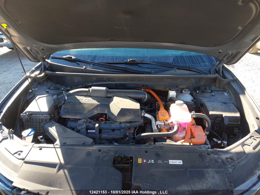 KM8JCCD16RU192526 2024 HYUNDAI TUCSON photo no. 10