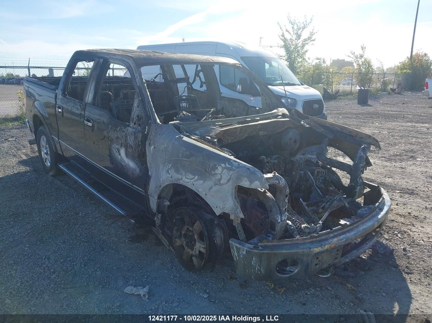 1FTFW1EV3AFA43152 2010 Ford F150 Supercrew auction photo 1