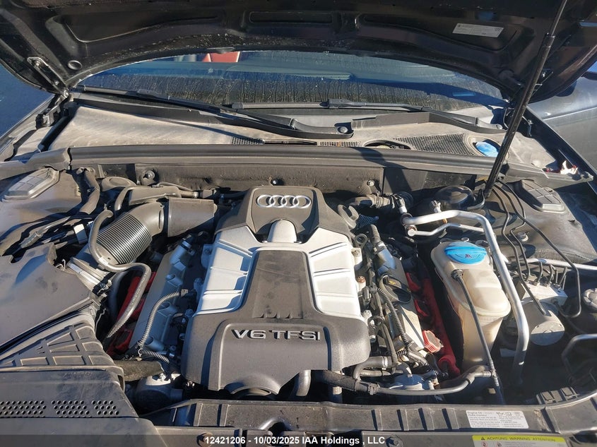 2010 Audi S5 3.0 Premium VIN: WAULGBFH4AN024255 Lot: 12421206