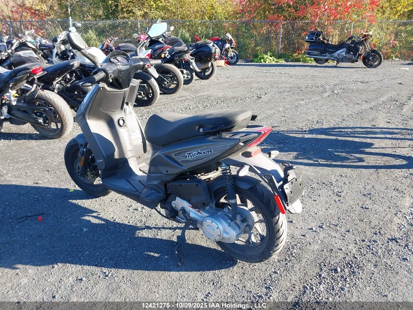 ZAPC506B4M4003956 2021 PIAGGIO  photo no. 3