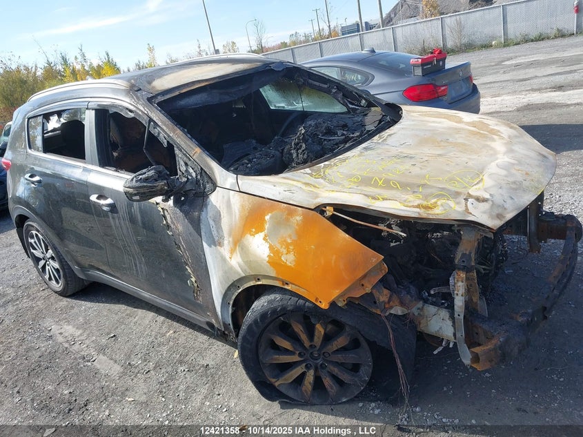 2017 Kia Sportage Ex VIN: KNDPNCAC4H7117920 Lot: 12421358