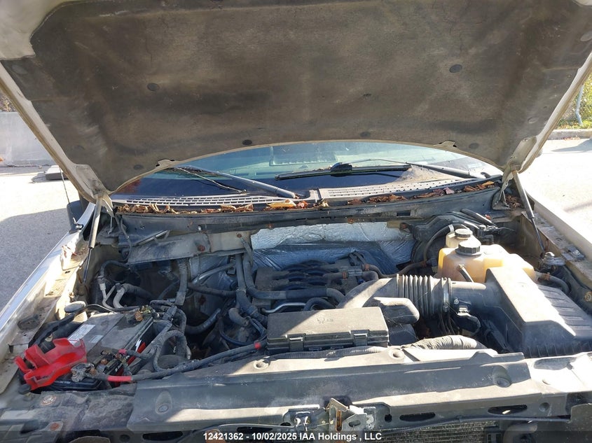 1FTFW1EF6BFB49685 2011 FORD F-150 photo no. 10