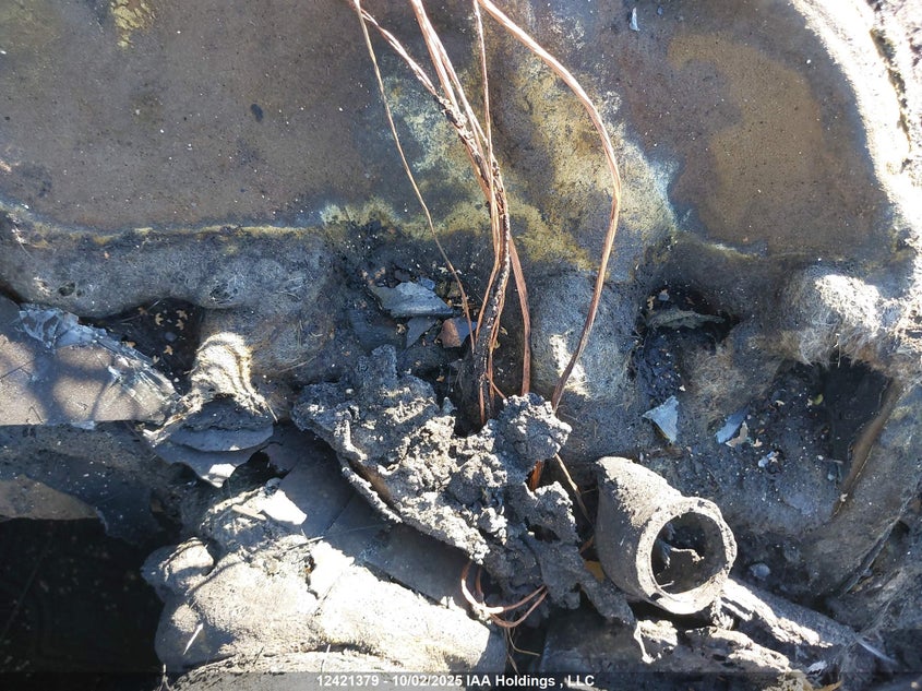 2011 Mercedes-Benz C 300 4Matic VIN: WDDGF8BB7BA482317 Lot: 12421379