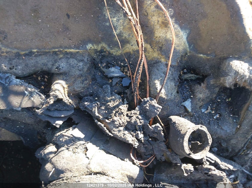 2011 Mercedes-Benz C 300 4Matic VIN: WDDGF8BB7BA482317 Lot: 12421379