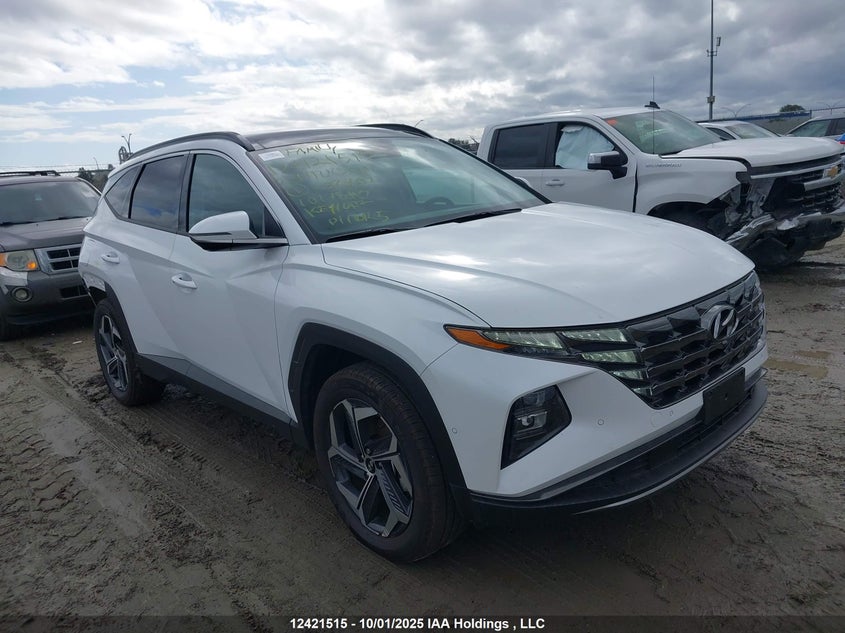 KM8JDDD24RU238902 2024 Hyundai Tucson Ultimate Plug-In Hybrid Awd auction photo 1