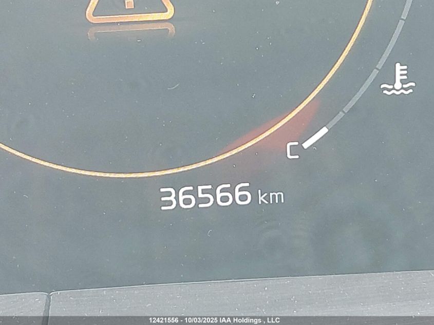 2024 Kia Telluride Sx/Sx Limited/X-Line/X-Pro VIN: 5XYP5DGC5RG538126 Lot: 12421556