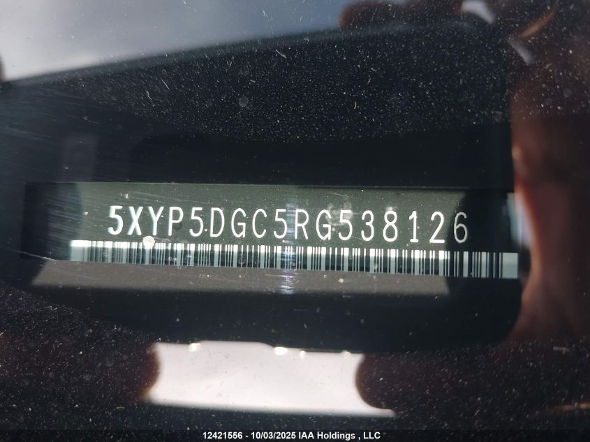 2024 Kia Telluride Sx/Sx Limited/X-Line/X-Pro VIN: 5XYP5DGC5RG538126 Lot: 12421556