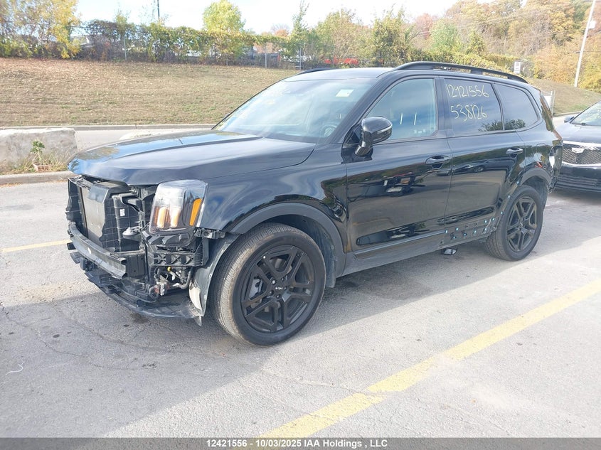 5XYP5DGC5RG538126 2024 KIA TELLURIDE photo no. 2