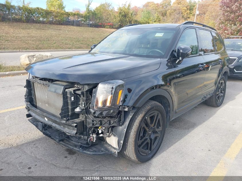 2024 Kia Telluride Sx/Sx Limited/X-Line/X-Pro VIN: 5XYP5DGC5RG538126 Lot: 12421556