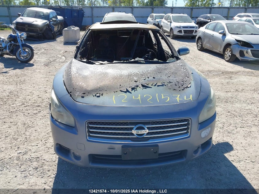 2011 Nissan Maxima S/Sv VIN: 1N4AA5AP6BC842892 Lot: 12421574