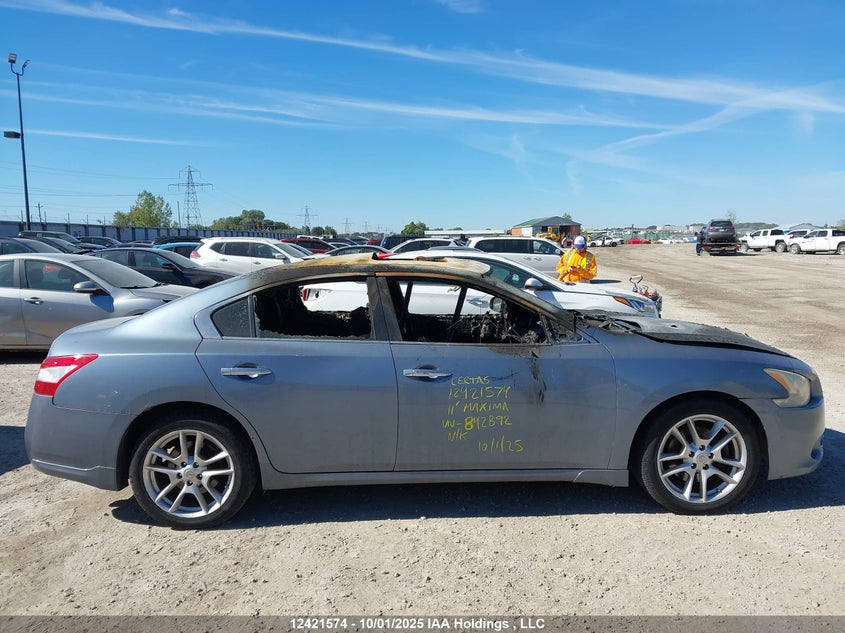 2011 Nissan Maxima S/Sv VIN: 1N4AA5AP6BC842892 Lot: 12421574
