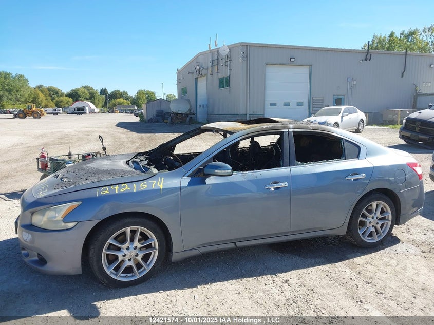 2011 Nissan Maxima S/Sv VIN: 1N4AA5AP6BC842892 Lot: 12421574
