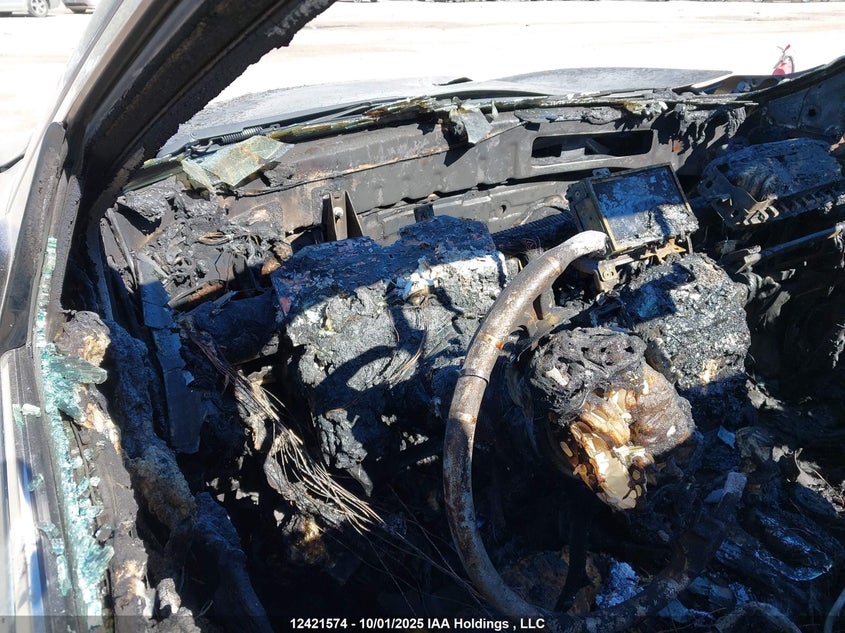 2011 Nissan Maxima S/Sv VIN: 1N4AA5AP6BC842892 Lot: 12421574