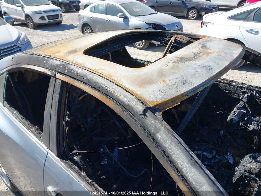 2011 Nissan Maxima S/Sv VIN: 1N4AA5AP6BC842892 Lot: 12421574