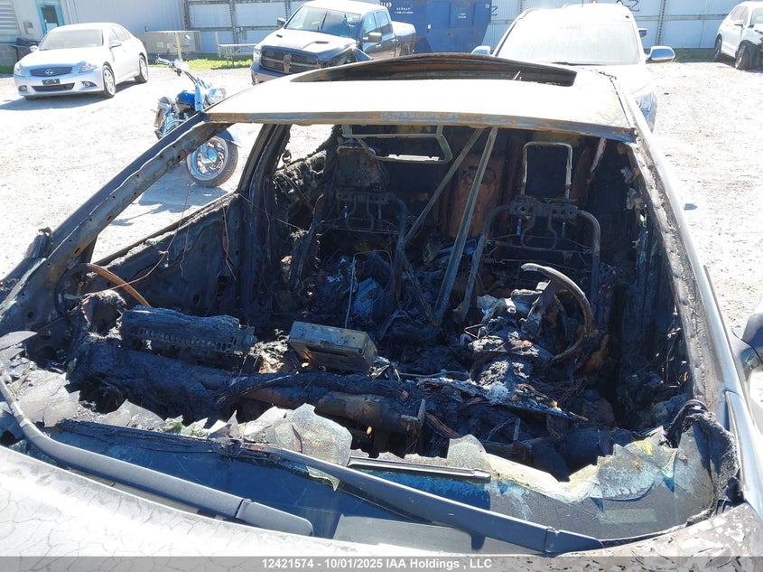 2011 Nissan Maxima S/Sv VIN: 1N4AA5AP6BC842892 Lot: 12421574