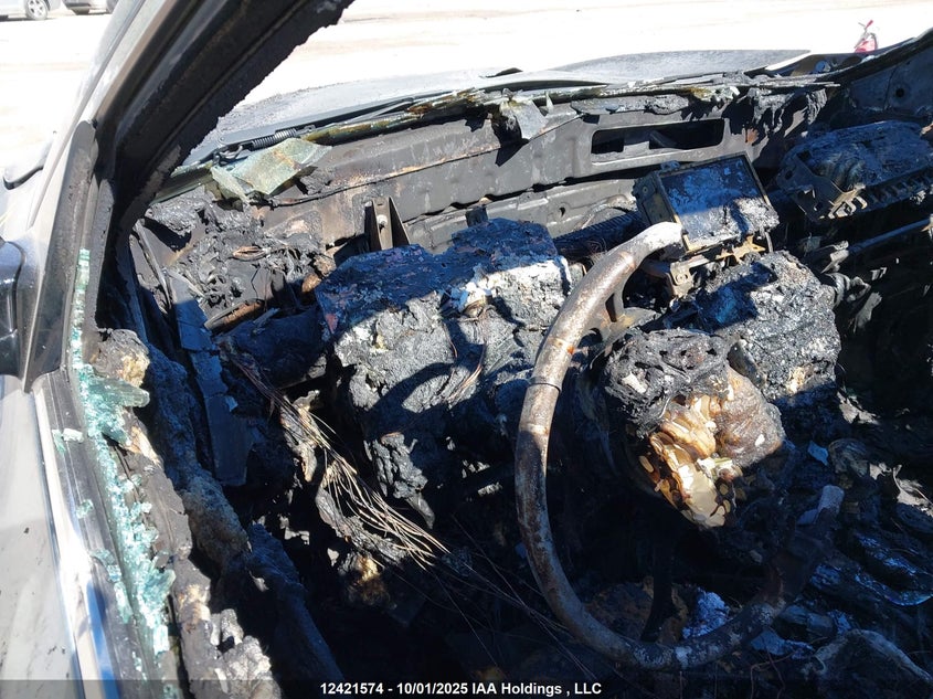 2011 Nissan Maxima S/Sv VIN: 1N4AA5AP6BC842892 Lot: 12421574