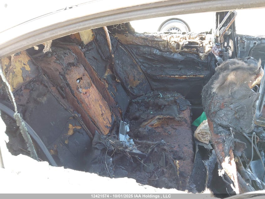 2011 Nissan Maxima S/Sv VIN: 1N4AA5AP6BC842892 Lot: 12421574