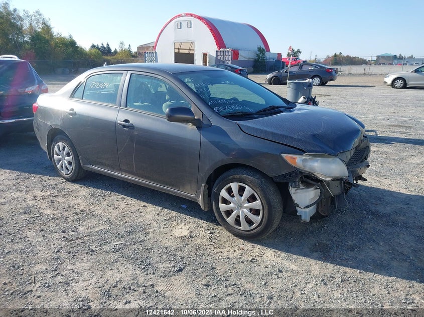 2T1BU40E69C120338 2009 Toyota Corolla S/Le/Xle auction photo 1