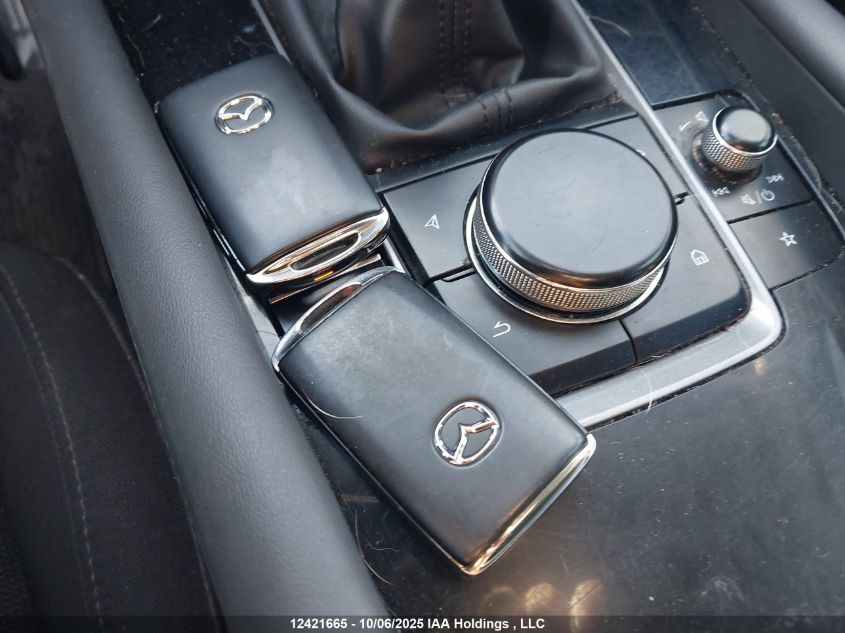 2019 Mazda 3 VIN: 3MZBPAB7XKM103038 Lot: 12421665