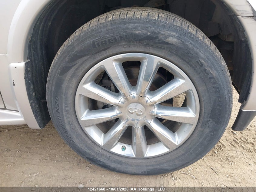 2008 Infiniti Qx56 VIN: 5N3AA08C28N904787 Lot: 12421668