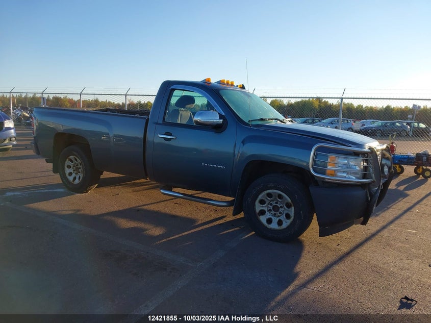 1GCPCPEX9AZ253173 2010 Chevrolet Silverado 1500 Wt auction photo 1