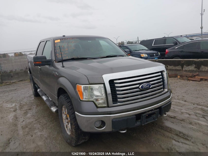 1FTFW1EVXAFA66315 2010 Ford F150 Supercrew auction photo 1