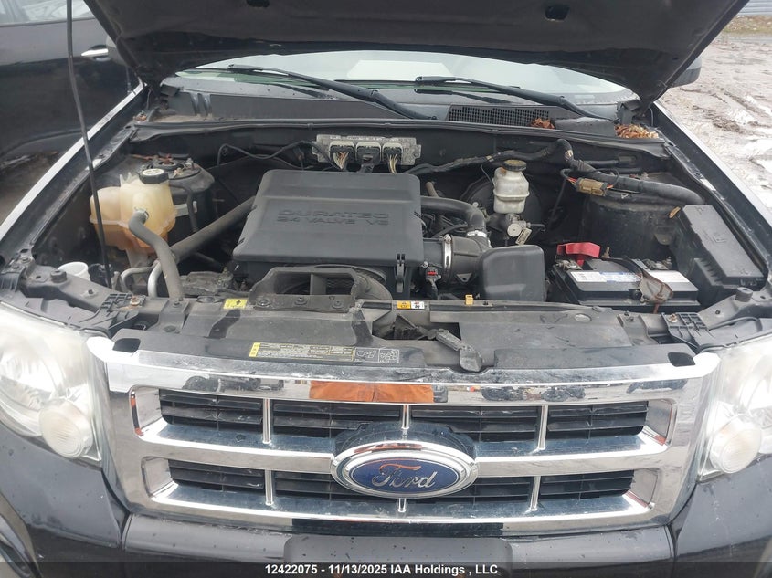 1FMCU03G99KA10761 2009 FORD ESCAPE photo no. 10