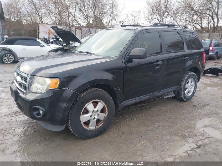 1FMCU03G99KA10761 2009 FORD ESCAPE photo no. 2