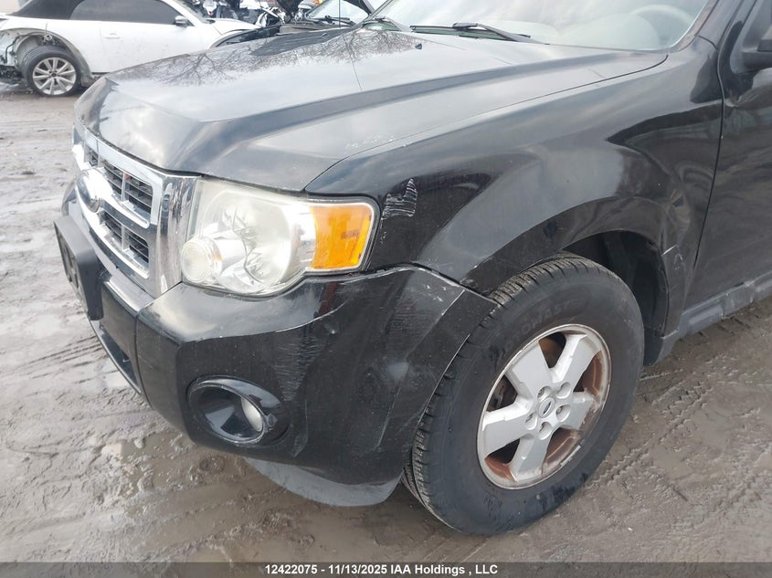 1FMCU03G99KA10761 2009 FORD ESCAPE photo no. 6
