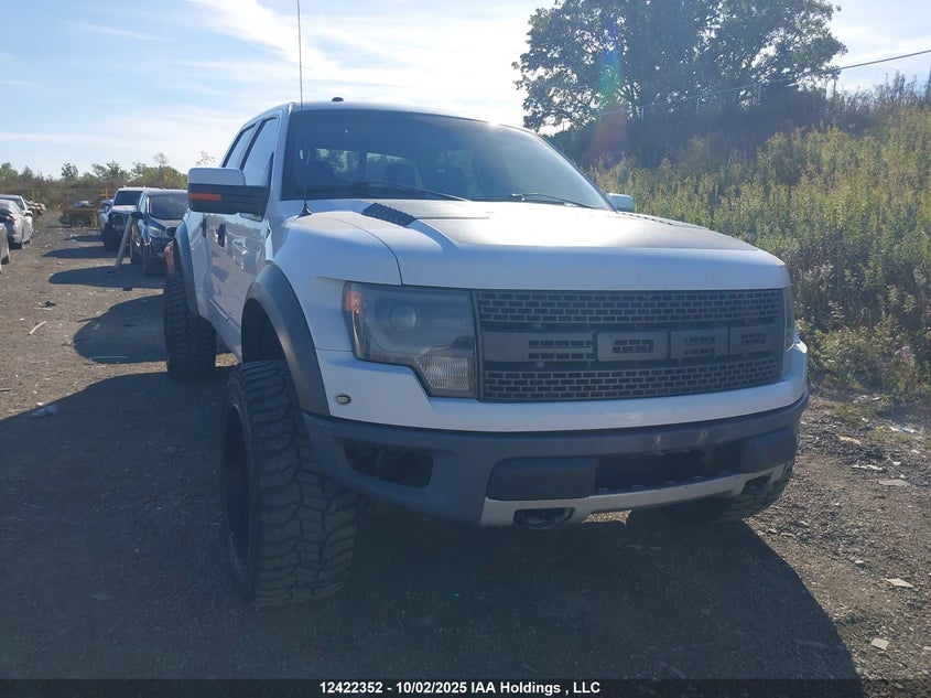 1FTFW1R64DFD12945 2013 Ford F150 Svt Raptor auction photo 1
