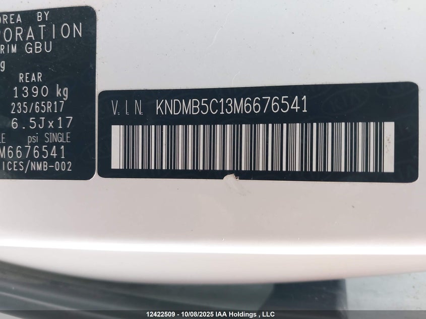 2021 Kia Sedona Lx/Ex VIN: KNDMB5C13M6676541 Lot: 12422509